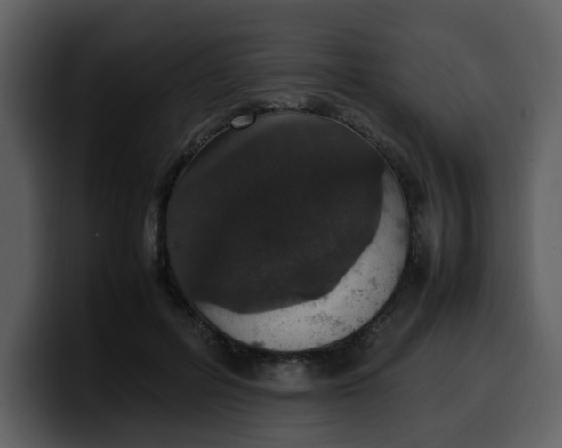 X0000100340600200806191026