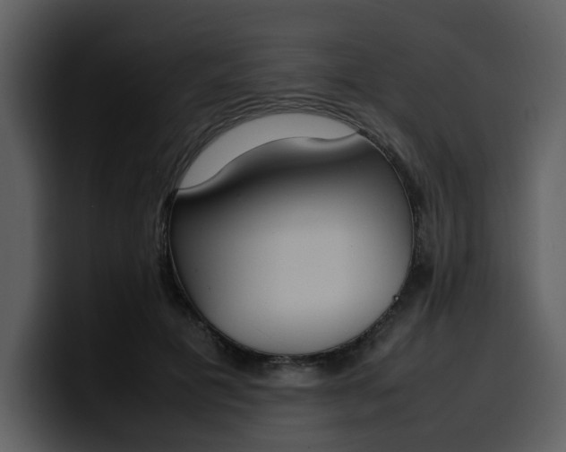 X0000100340601200806191026