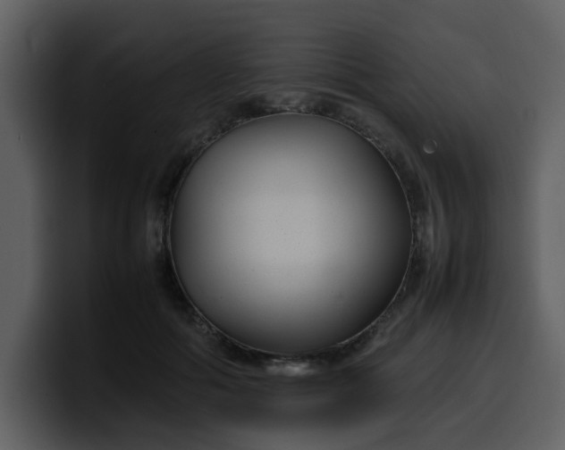 X0000100340602200806191026