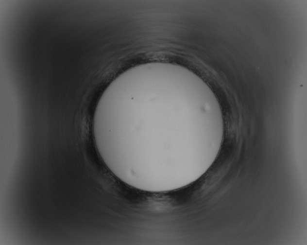 X0000100340603200806191026