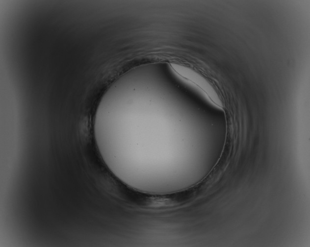 X0000100340605200806191026