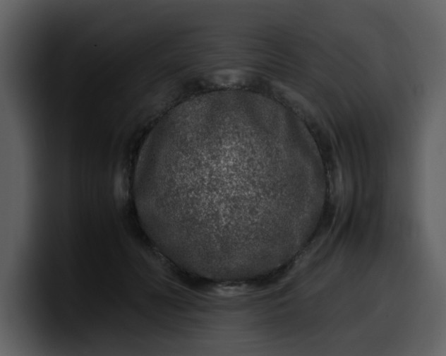 X0000100340606200806191026