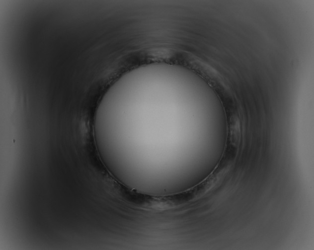 X0000100340608200806191026