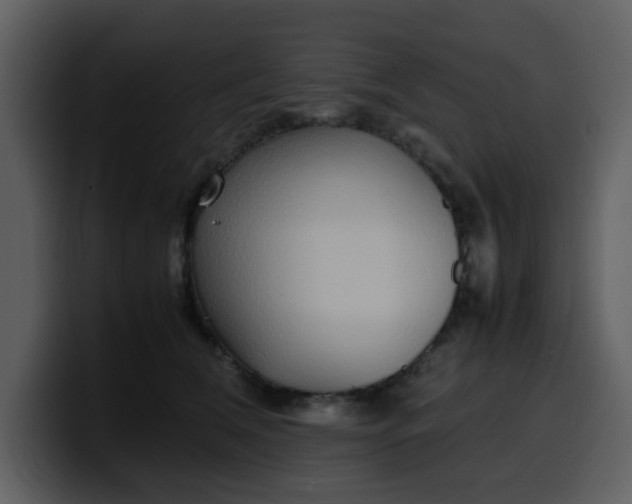 X0000100340612200806191026