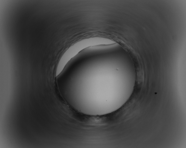 X0000100340613200806191026