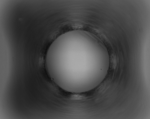 X0000100340614200806191026