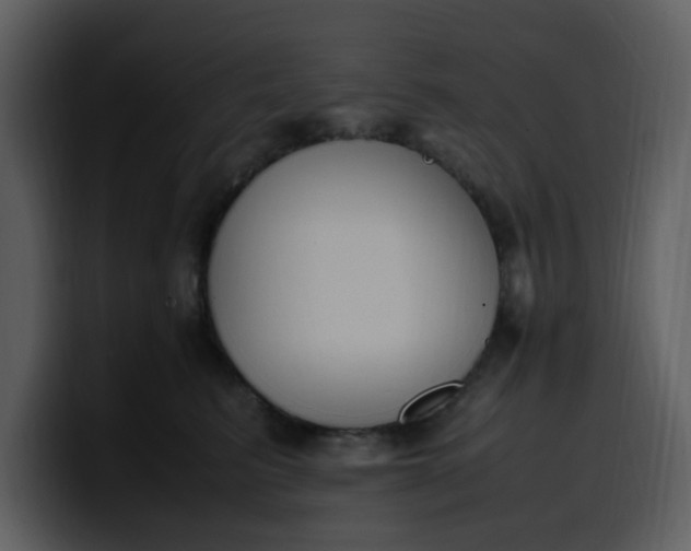 X0000100340615200806191026