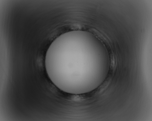 X0000100340616200806191026