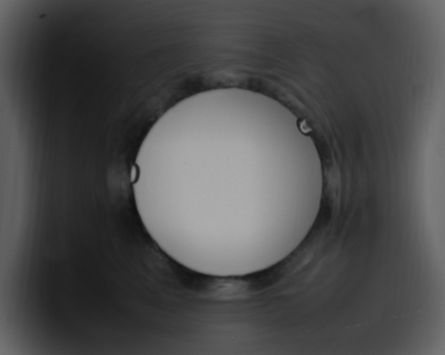 X0000100340617200806191026