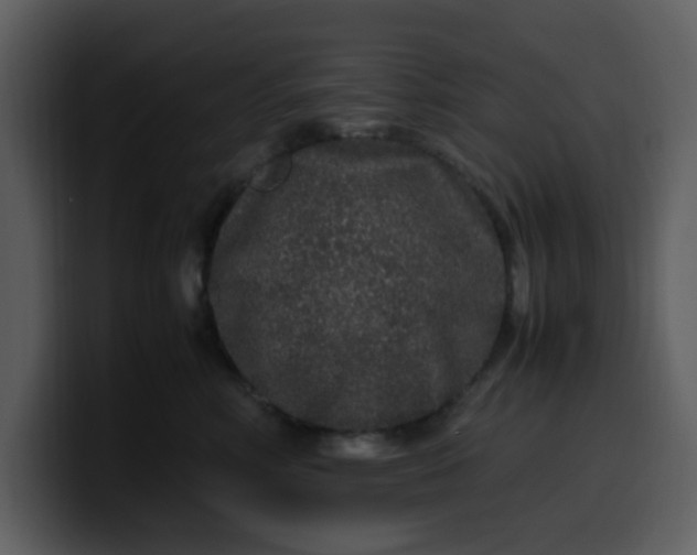 X0000100340618200806191026