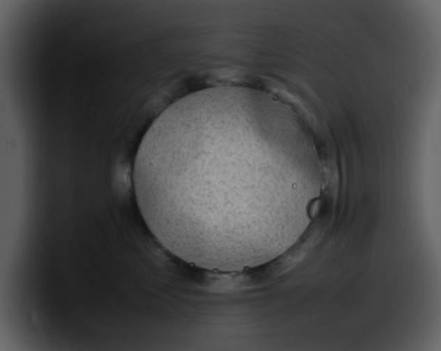 X0000100340621200806191026