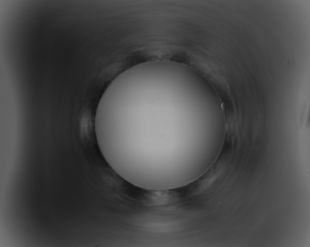 X0000100340623200806191026