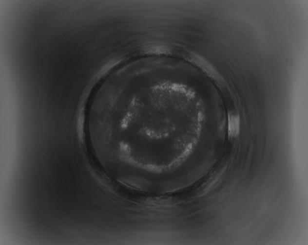 X0000100340627200806191025