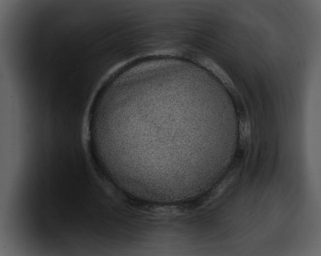 X0000100340628200806191025