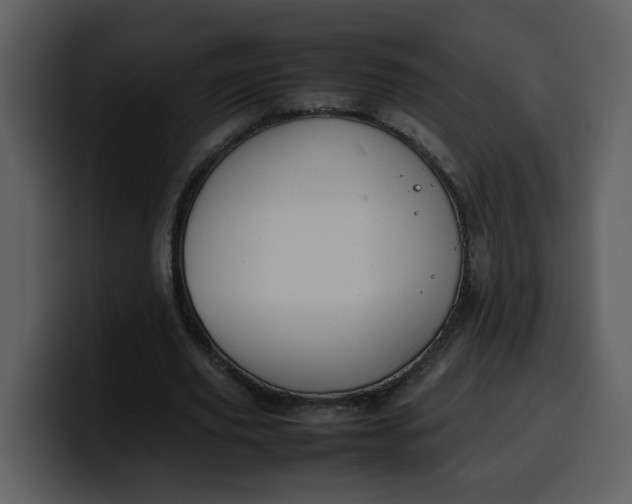 X0000100340629200806191025