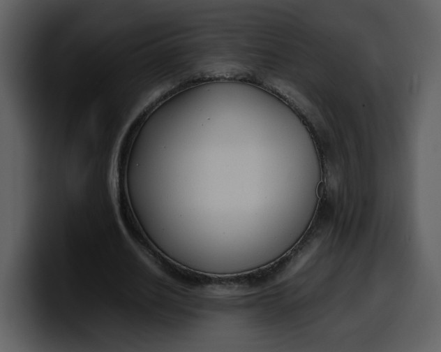 X0000100340630200806191025