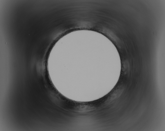 X0000100340632200806191025