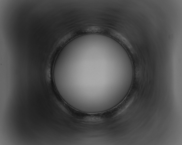 X0000100340633200806191025