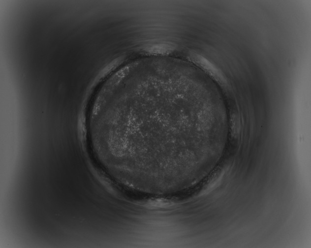 X0000100340634200806191025