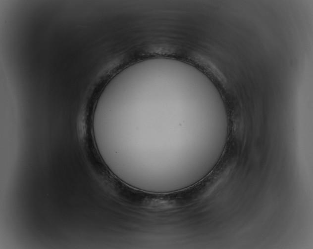 X0000100340635200806191025