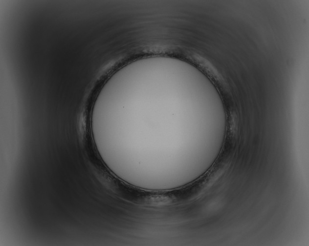 X0000100340636200806191025