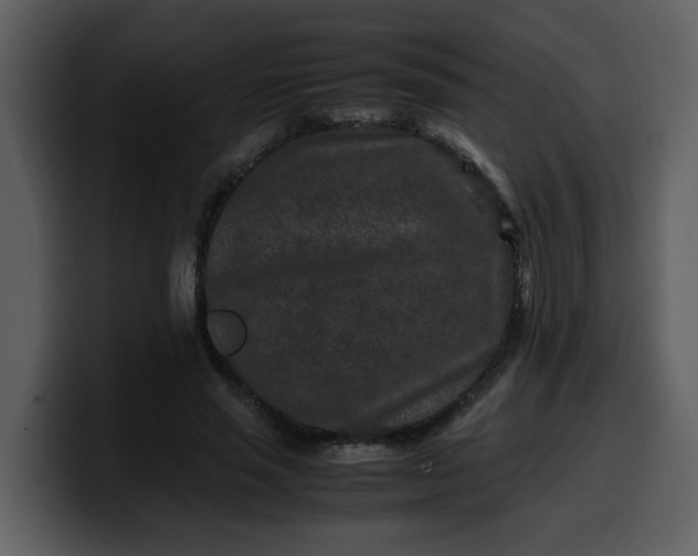 X0000100340637200806191025