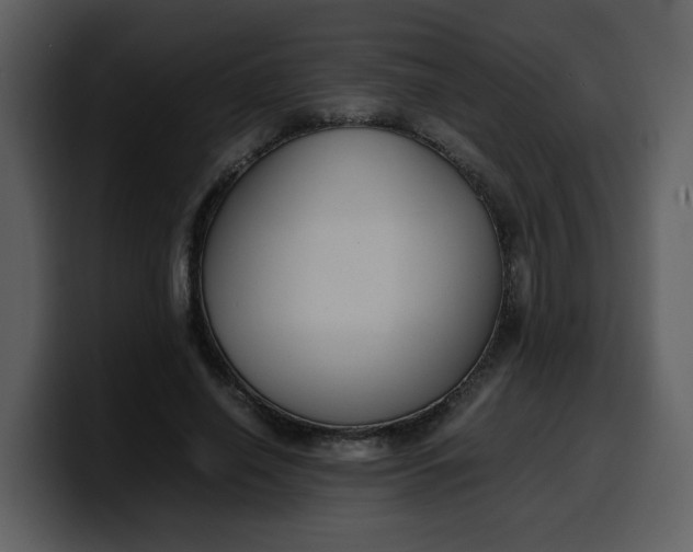 X0000100340638200806191025