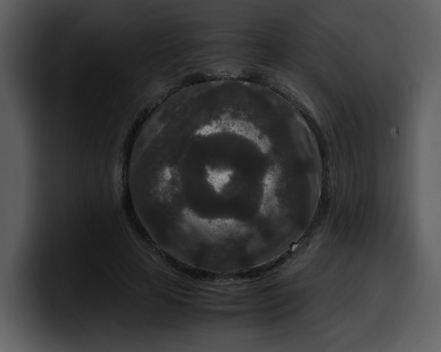 X0000100340641200806191025