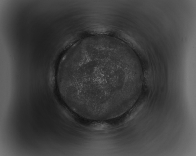 X0000100340642200806191025