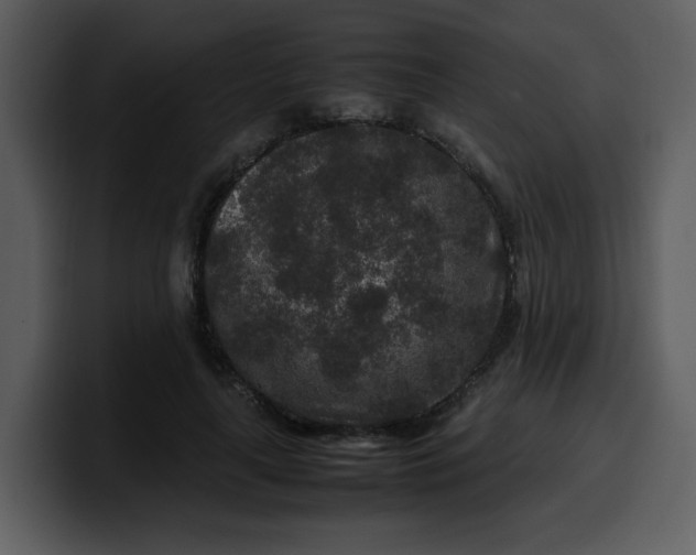 X0000100340643200806191025