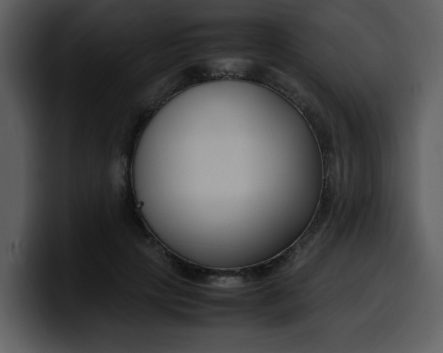 X0000100340649200806191025