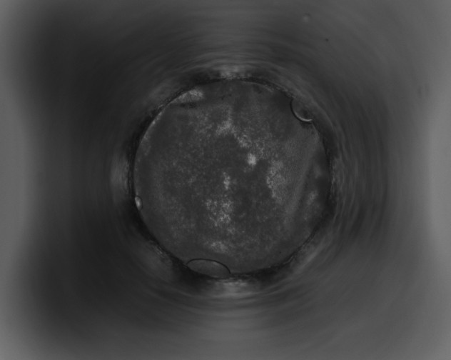 X0000100340650200806191025