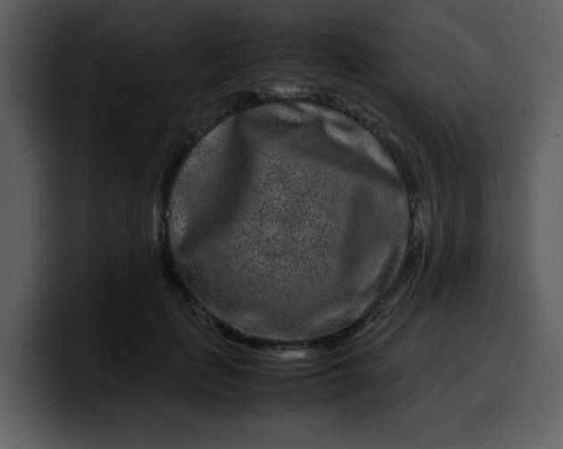 X0000100340651200806191025