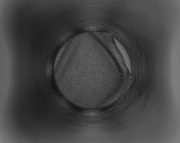 X0000100340652200806191025