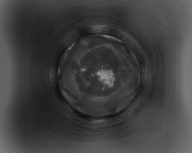 X0000100340653200806191025