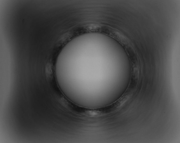 X0000100340654200806191025