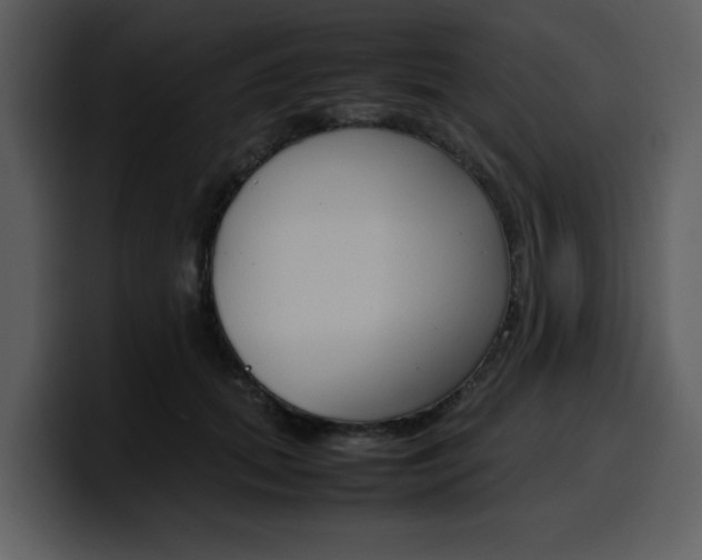 X0000100340655200806191025