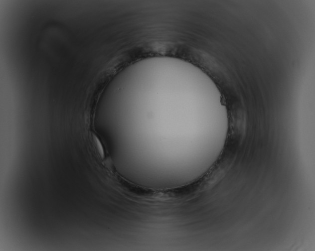 X0000100340656200806191025