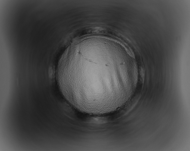 X0000100340657200806191025