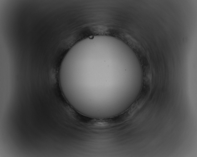 X0000100340658200806191025