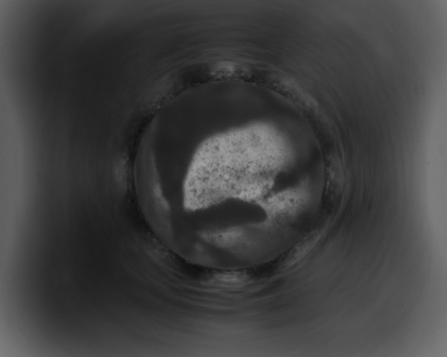 X0000100340659200806191025