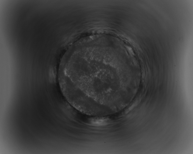 X0000100340661200806191025