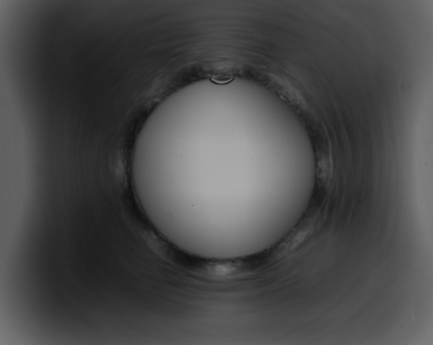 X0000100340662200806191025