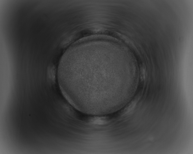 X0000100340664200806191025