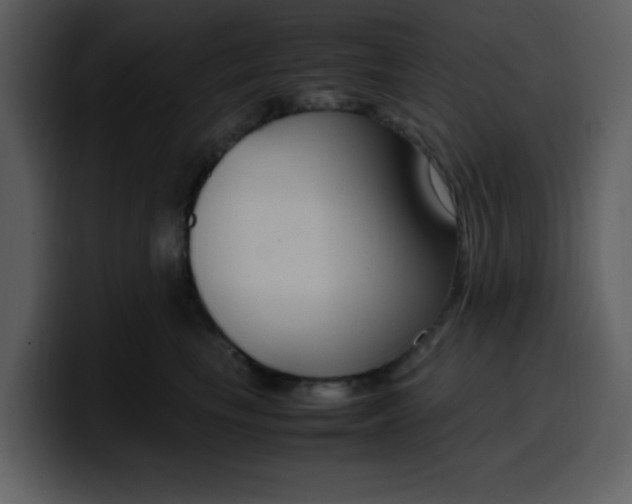 X0000100340665200806191025