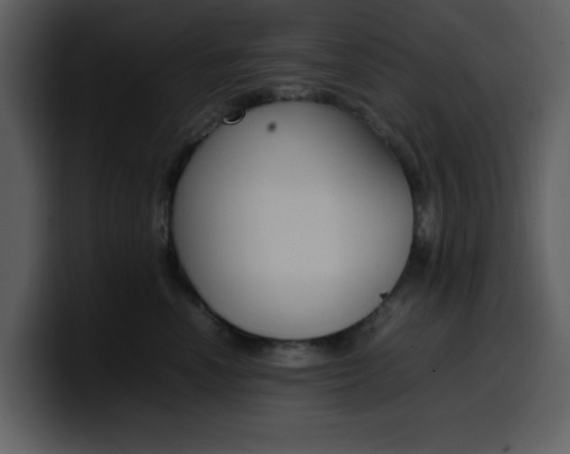 X0000100340666200806191025