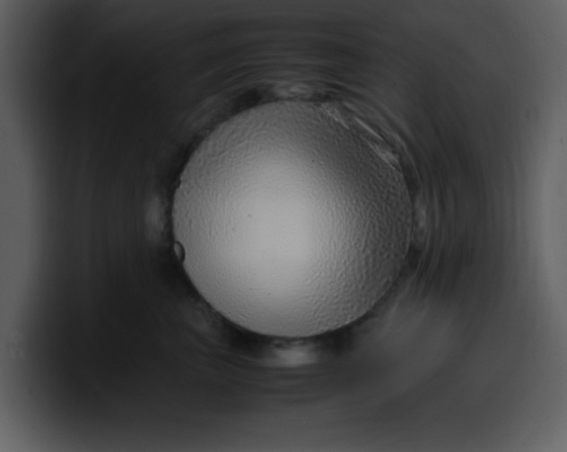 X0000100340667200806191025