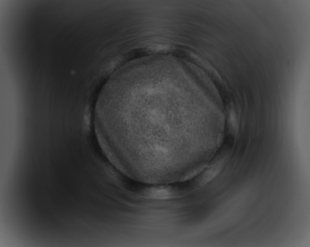 X0000100340668200806191025