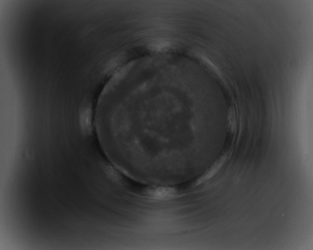 X0000100340670200806191025