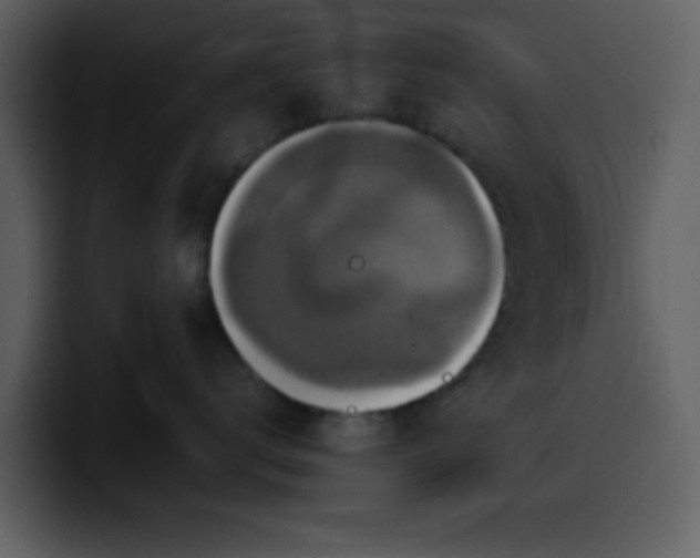 X0000100340672200806191025